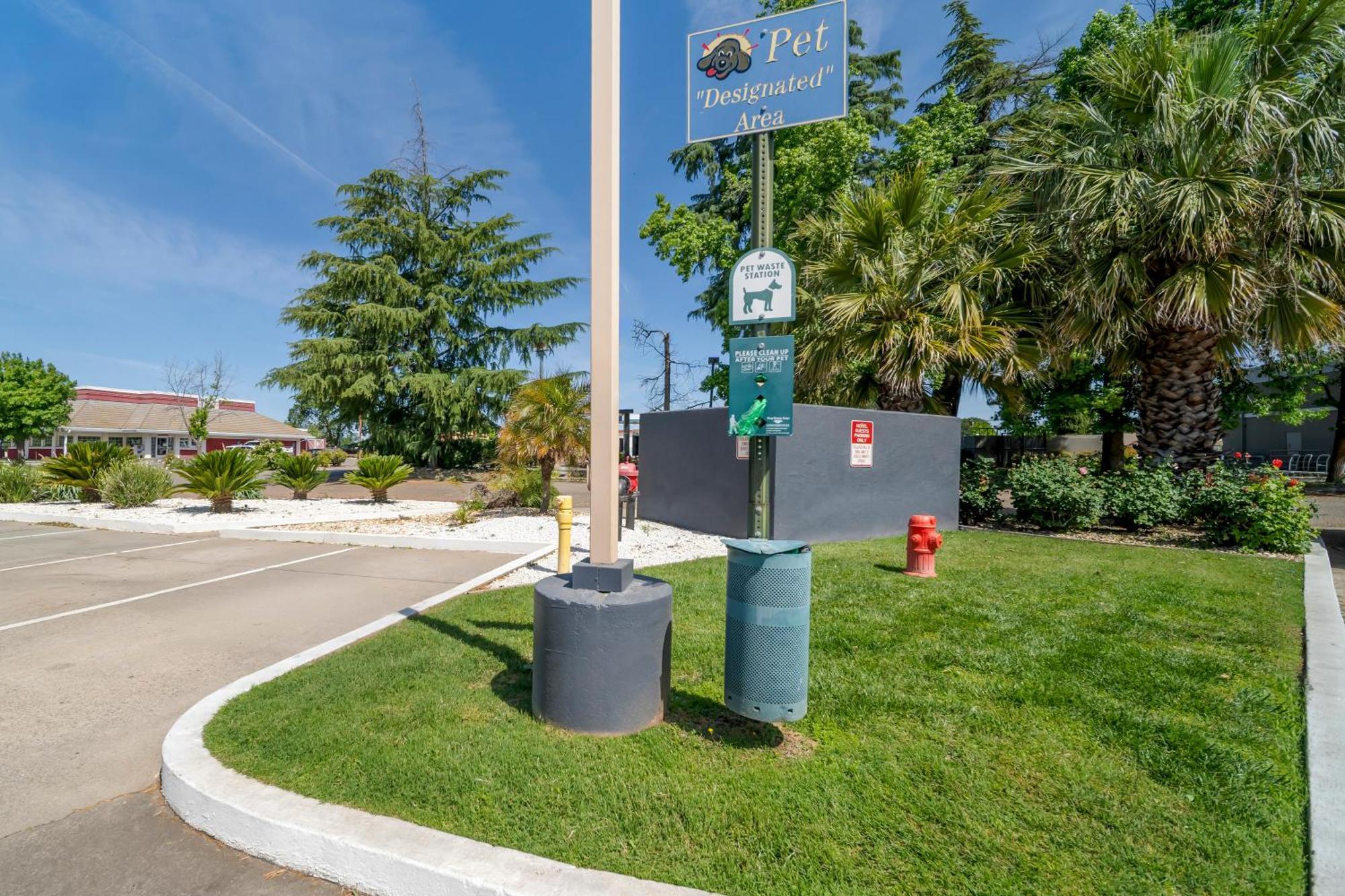 Best Western Antelope Inn&Suites Red Bluff Exterior foto
